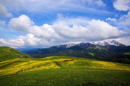 新疆昭苏喀拉峻那拉提赛里木湖环线六日游